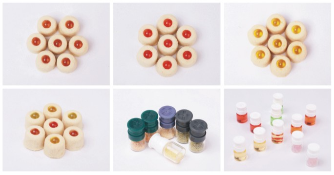 Freeze-dried product formats shown in a supplier catalogue